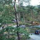 소나무농원 캠핑장 이미지