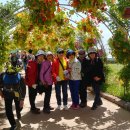 나비야함평가자 이미지