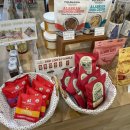 동그리펫 이미지