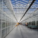 4차 산업혁명과 스마트 팜 이미지