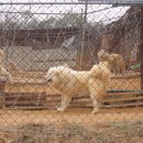 화성농장 이미지