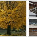 흰구름산촌마을 이미지