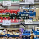 맥스파마 | 코스트코 김해점 6월24일 세일상품 치즈 가격 장본후기