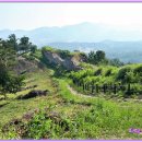 보은 삼년산성 이미지