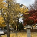 길선상사 | Autumn.5