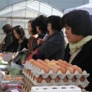 청주YWCA어린이집 이미지