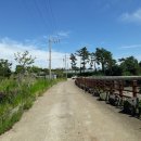 강정동-8 이미지