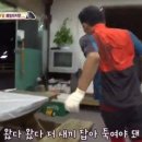 매일매일 여시 패기 챌린지 이미지