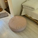 아름다운애견세상 이미지