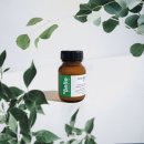 벨르스킨 이미지