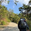 구봉산 가는길 | 용인 구봉산에서 단둘이 전세캠｜백패킹 감성 200% 충전 / 들머리 / 주차 / 가는 방법