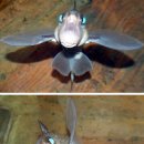 왕눈이PC 이미지