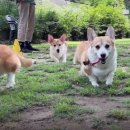 민국농장 이미지