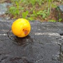 고향의봄도서관 이미지