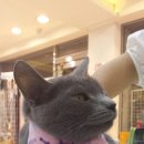 폴리파크지산점 네이버블로그