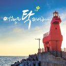 태우장터 이미지