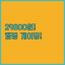 BS PC | 블라우풍트 블루투스 스피커 29800원 캠핑 방수 블루팝에어 게이밍 사운드바 블루팝 LED 용도별 분석