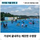 신라관 | 여름에 아이와 갈만한 경주 숨은 명소! 화랑마을 수영장