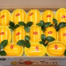 성주 꿀 참외 5kg 후기, 달콤하고 큼직해서 만족해요