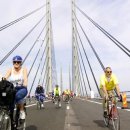 대교정보통신 이미지