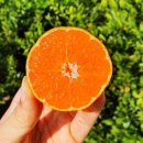 동문농장 이미지