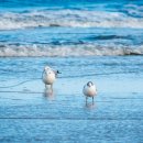 주문진 관광안내소 이미지