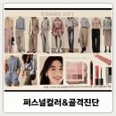 컬러에이치 강남 퍼스널컬러 &amp; 골격 진단 받은 솔직 후기! (여름 쿨톤 썸머 소프트 &amp; 썸머 뮤트...