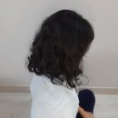 닛시레
