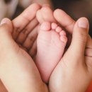 땀으로닦는사람들 | 아빠가 꼭 알아야 할 출산 정보: 예비 아빠를 위한 실전 가이드
