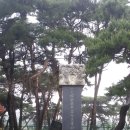 문정사