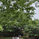 초록산산림욕장 네이버블로그