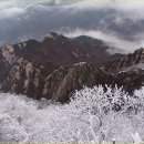 아띠아지 이미지