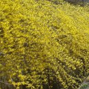 신라고등학교 이미지