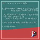 불가마 싸운드 티스토리