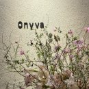 청담동 파인다이닝 Onyva 오니바 프렌치 다이닝 내돈내산 솔직 후기