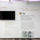 3.1만세로 R 이미지