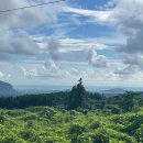 춘심이네 이미지