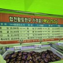 합천황토한우프라자 | 제2회 합천황토한우축제 후기