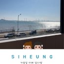 서울다방 | [시흥 거북섬 카페] 오션뷰 카페 섬다방 후기｜서울근교 바다뷰 감성 카페 추천