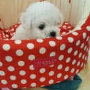 미스터멍 이미지