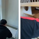 동물보육원 고양지부 이미지