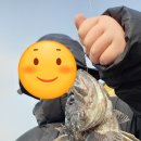 무기수산좌대낚시터 이미지