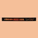 스팀손세차