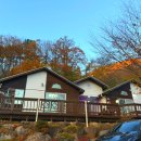 곰골스카이 이미지