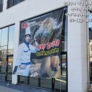 타짜오락실