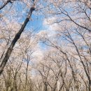 웅동주차장 이미지