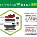 슈올즈구로 이미지