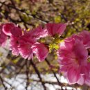 바산목장 이미지