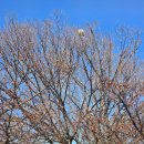 김해건설공업고등학교 이미지