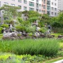 기흥더샵공인중개사사무소 이미지